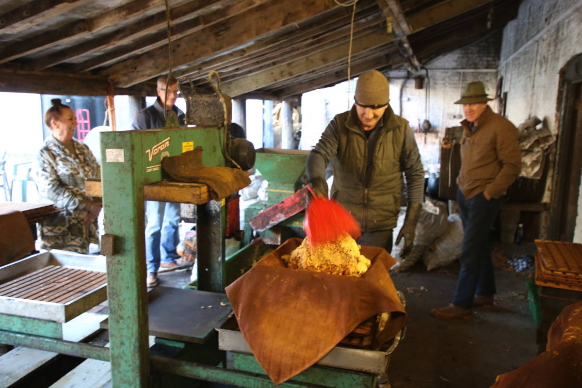 Image of always room for more on top 001 <h2>2022-08-14 - West Croft Farm Cider Appreciation Day</h2>