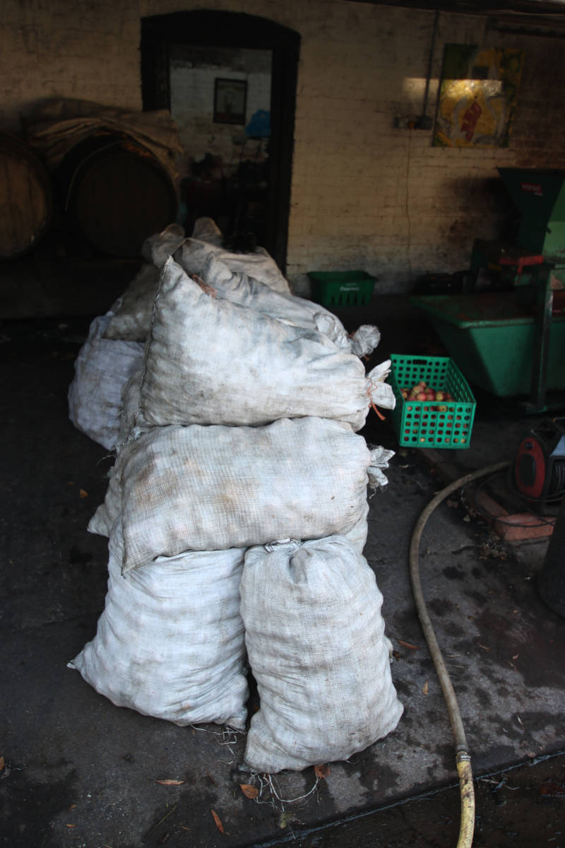 Image of apples patiently wait 001 <h2>2022-08-14 - West Croft Farm Cider Appreciation Day</h2>