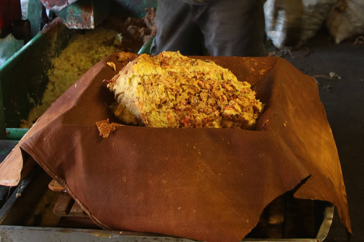 Image of from crushing to pressing 001 <h2>2022-08-14 - West Croft Farm Cider Appreciation Day</h2>