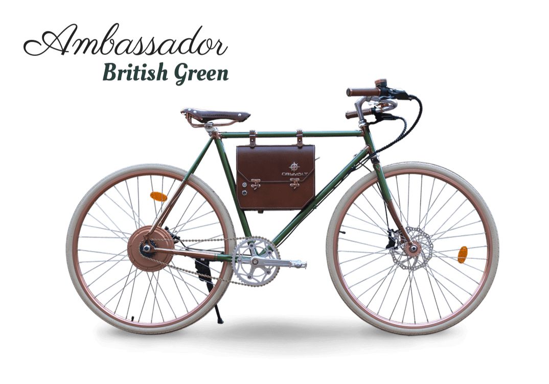 image shows: Rayvolt Ambassador Electric Bicycle Green