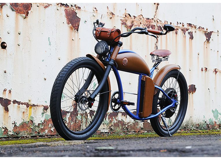 Rayvolt Cruzer Electric Bicycle Custom Finish 1Image with link to high resolution version