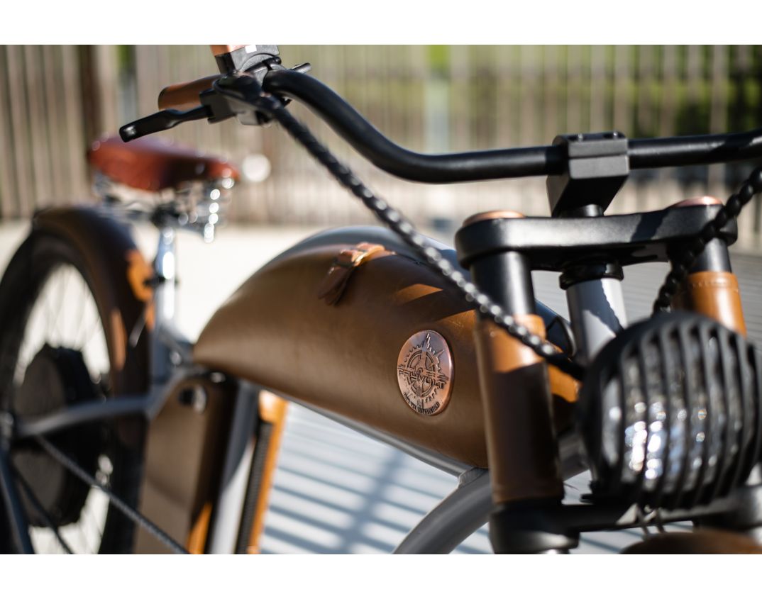 image shows: Rayvolt Cruzer Electric Bicycle Detail Tank