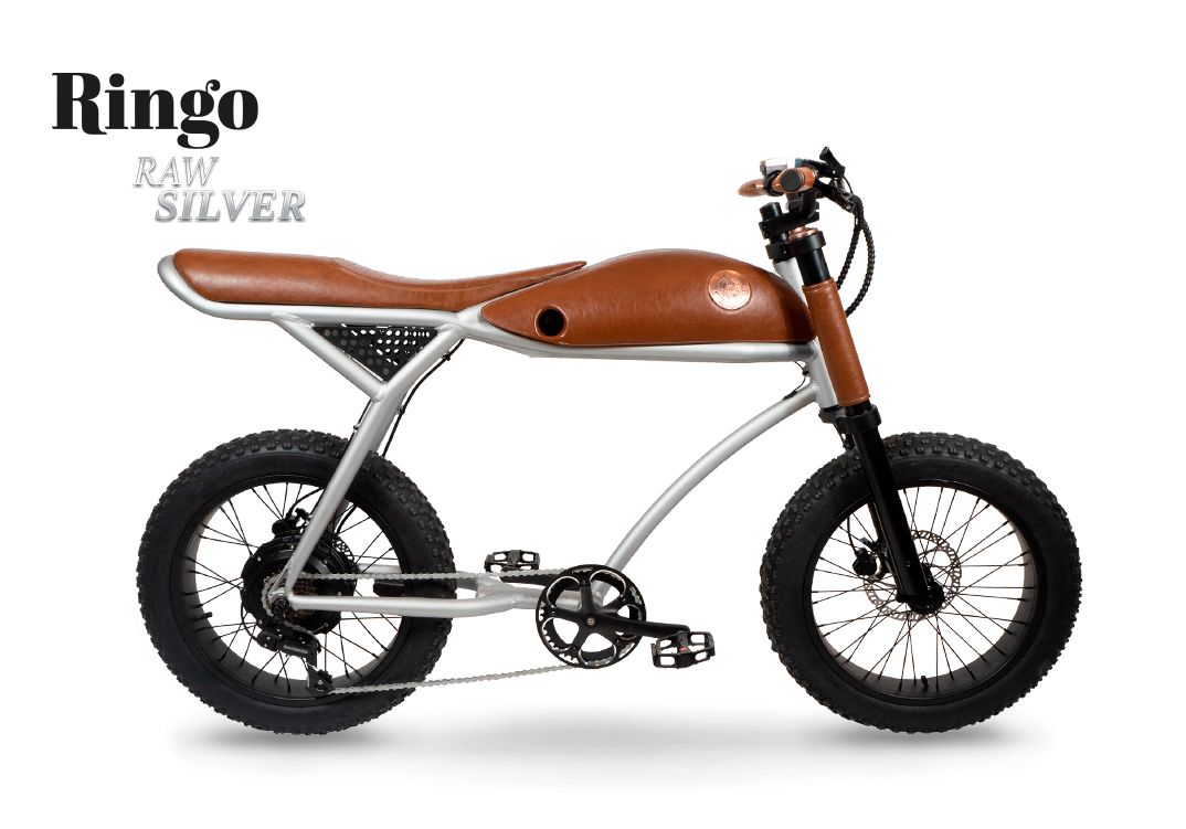 Rayvolt Ringo Electric Bicycle SliverImage with link to high resolution version