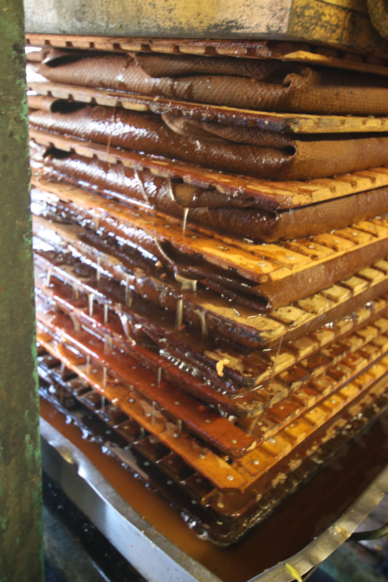 Image of the motor goes round and round the juice comes out here 001 <h2>2022-08-14 - West Croft Farm Cider Appreciation Day</h2>