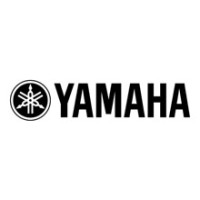 Classic Yamaha Suspension