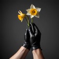 Spring Motorcycle Gloves Spring Motorcycle Gloves