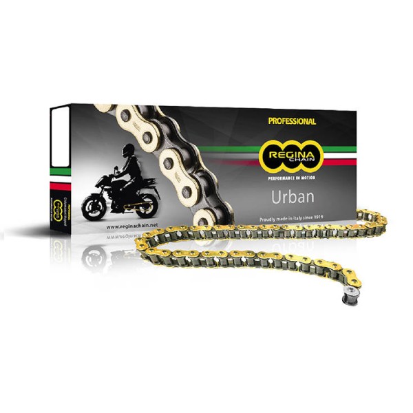 Regina 520 EB/OROX Plain Chain 110 Link