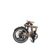 Rayvolt eXXite XS Folding Electric Cycle