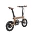 Rayvolt eXXite XXS Folding Electric Cycle