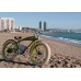 Rayvolt Beachin' Electric Cycle