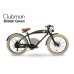 Rayvolt Clubman Electric Cycle