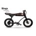 Rayvolt Ringo Electric Cycle