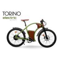 Rayvolt Torino Electric Cycle