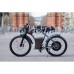 Rayvolt Torino Electric Cycle