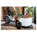 Rayvolt Trixie Electric Cargo Cycle