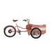 Rayvolt Trixie Electric Cargo Cycle